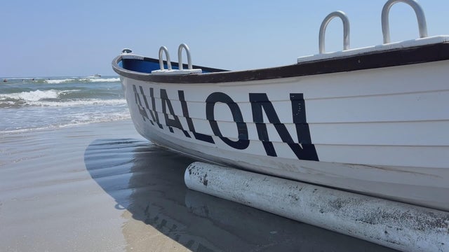 avalon-beach-generic.jpg 