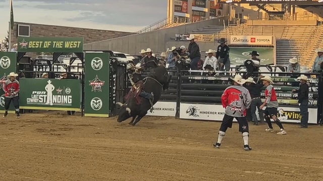 CSU-Rams.jpg 